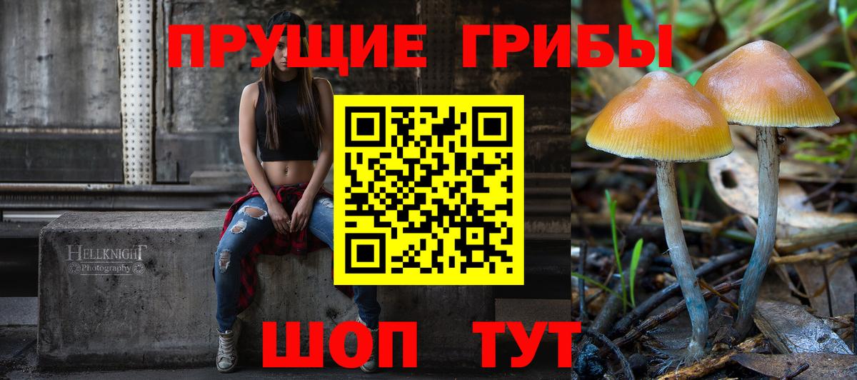 Галлюциногенные грибы Psilocybine cubensis  Псилоцибиновые грибы MAGIC MUSHROOMS  Вход с VPN  Вятские Поляны 