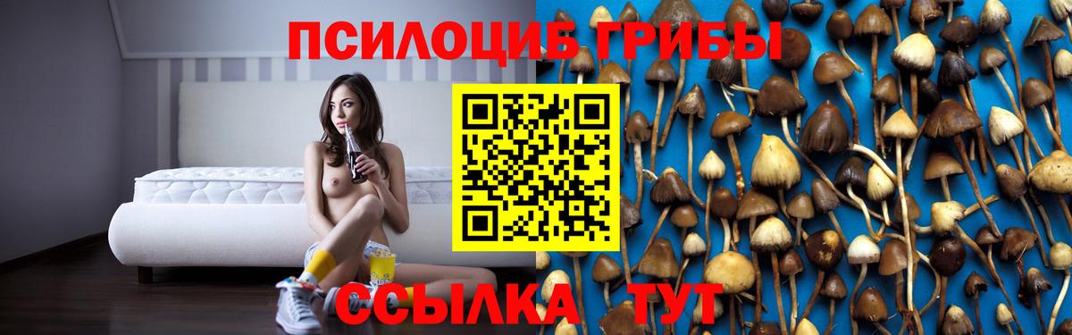 Галлюциногенные грибы Magic Shrooms Вятские Поляны